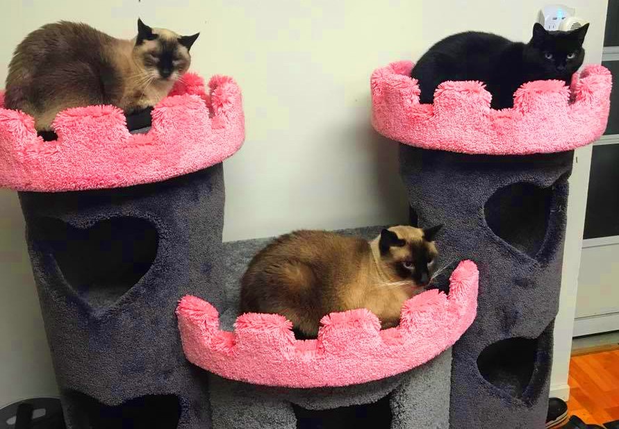 Deluxe Kitty Castle