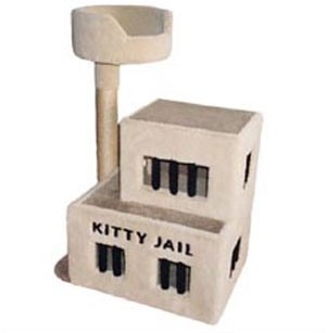 Kitty Jail Condo