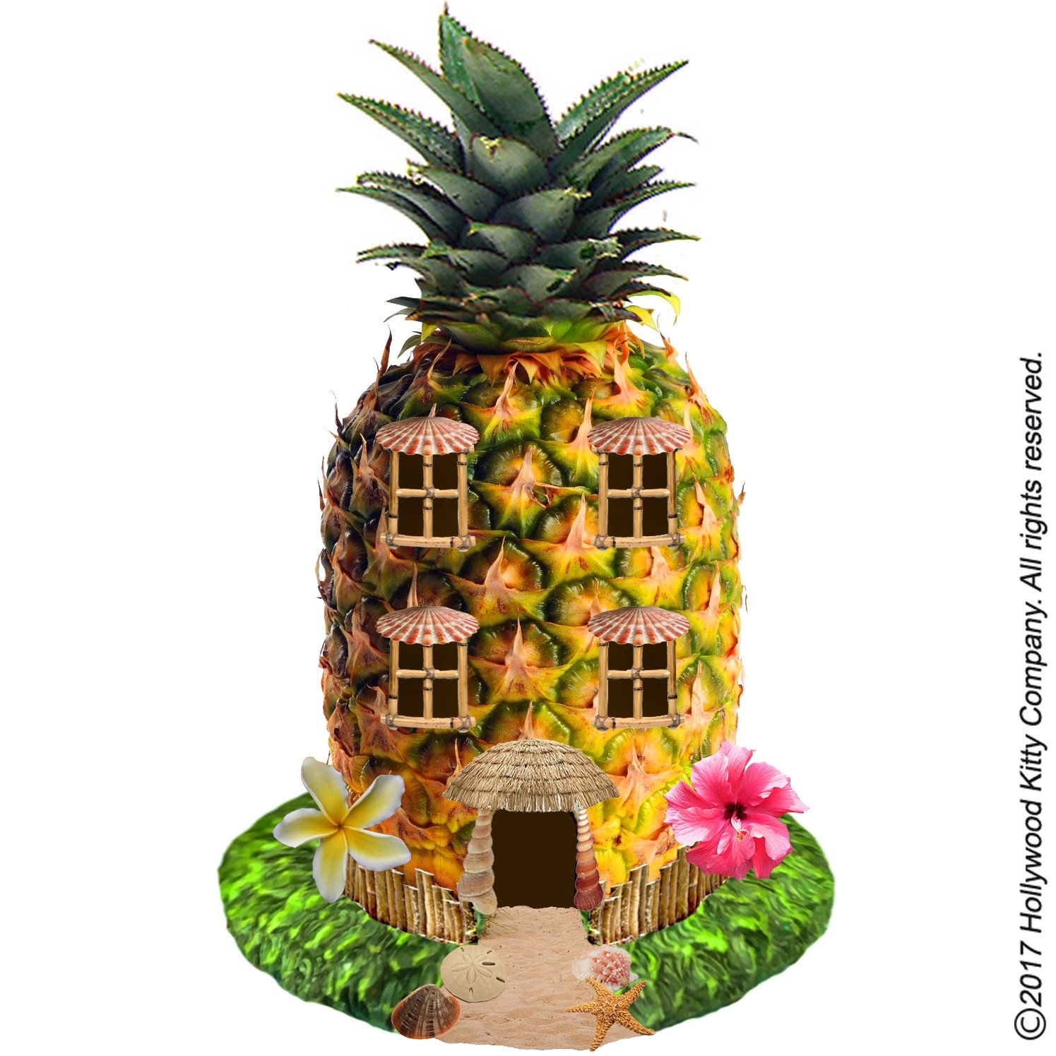 Hammy-Town Pineapple Villa