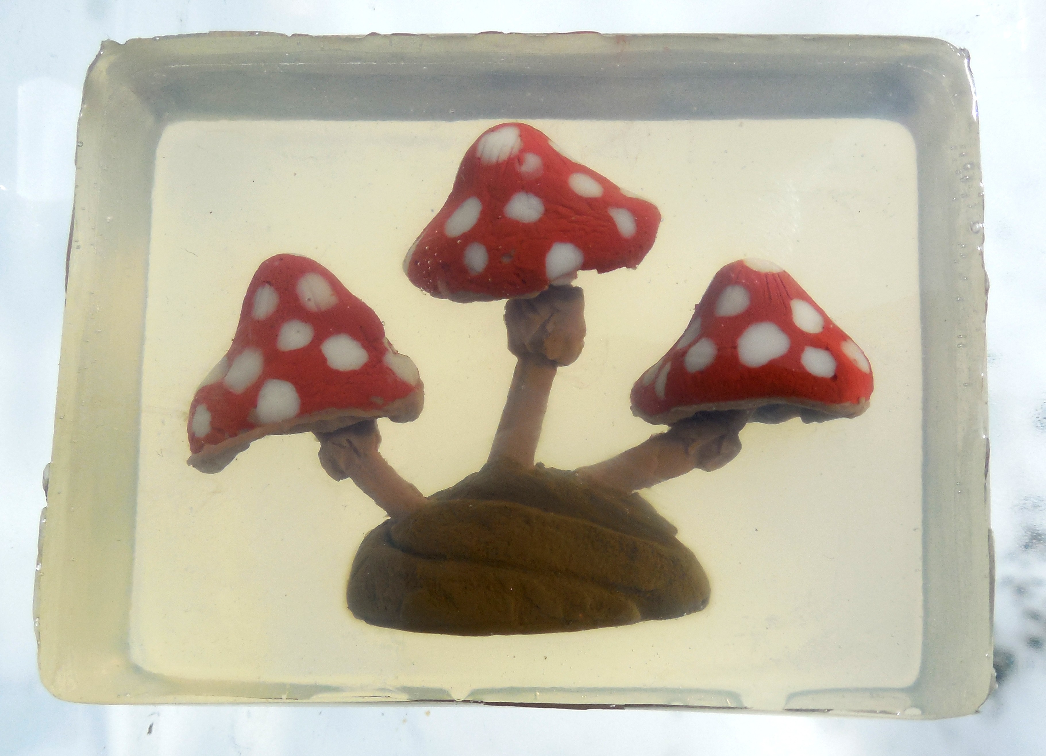 Mushroom Soap "Wild Shrooms"