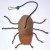 Cockroach Catnip Toy