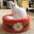 Kitty Bowl Cat Bed