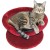 Kitty Bowl Deluxe Bed