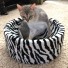 Shown with Zebra carpet. This customer has left a review, with the title "Superb". Click reviews to read Tina's review!