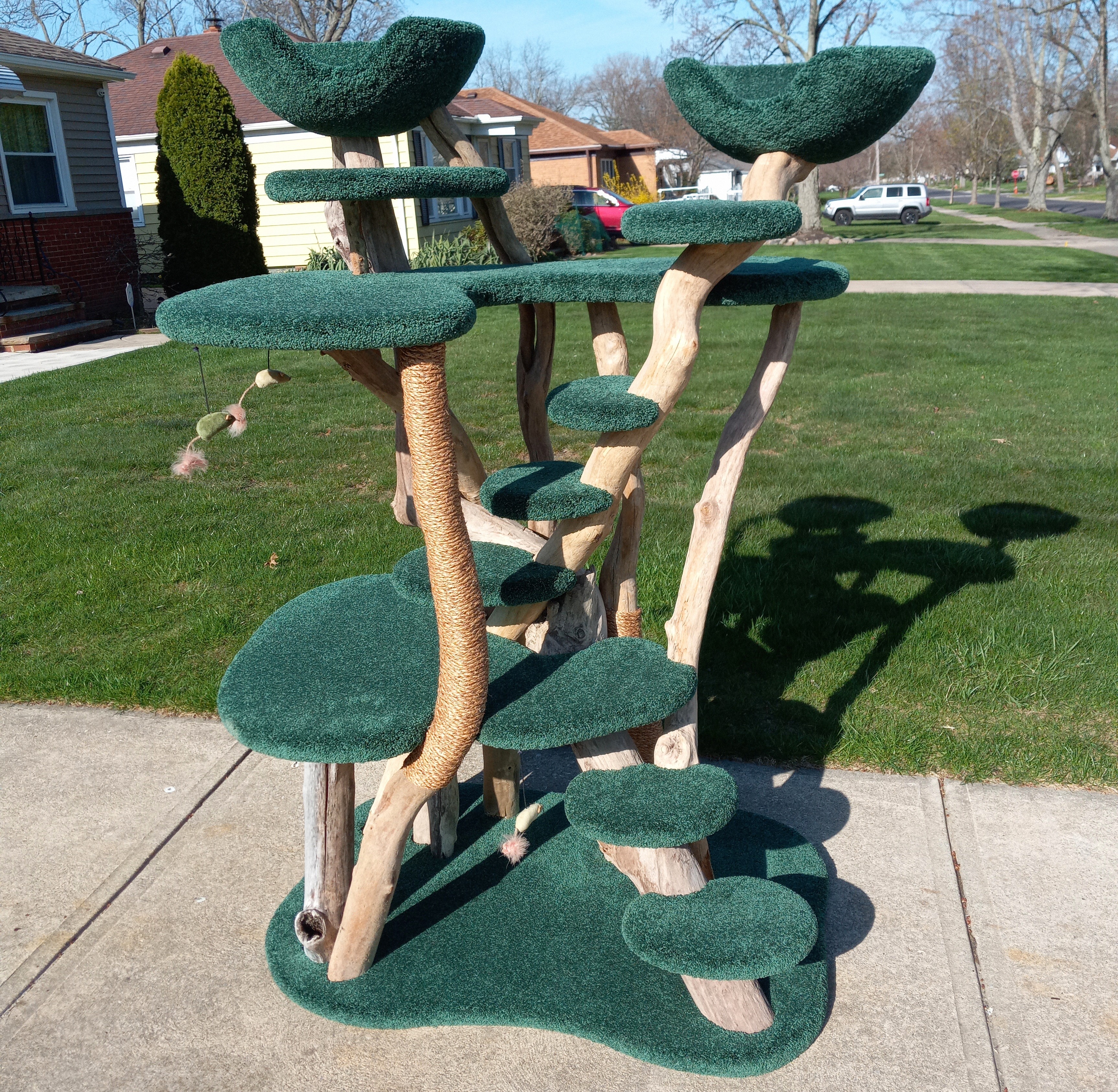 68" driftwood tree w/ 2 kitty bowls, manila rope, forest green carpet & 3 toys