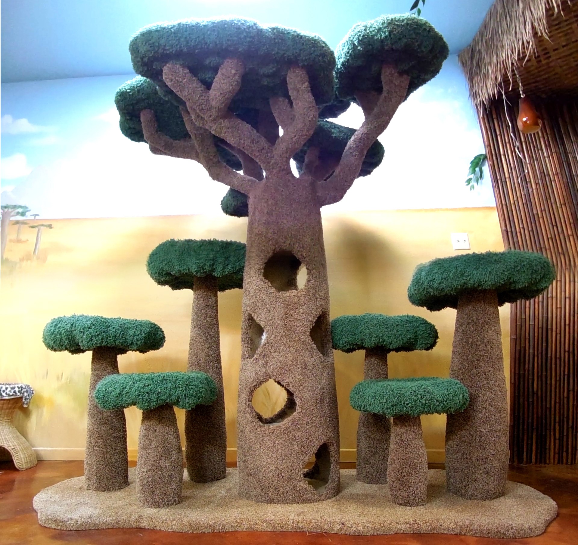 African Baobab Kitty Sanctuary