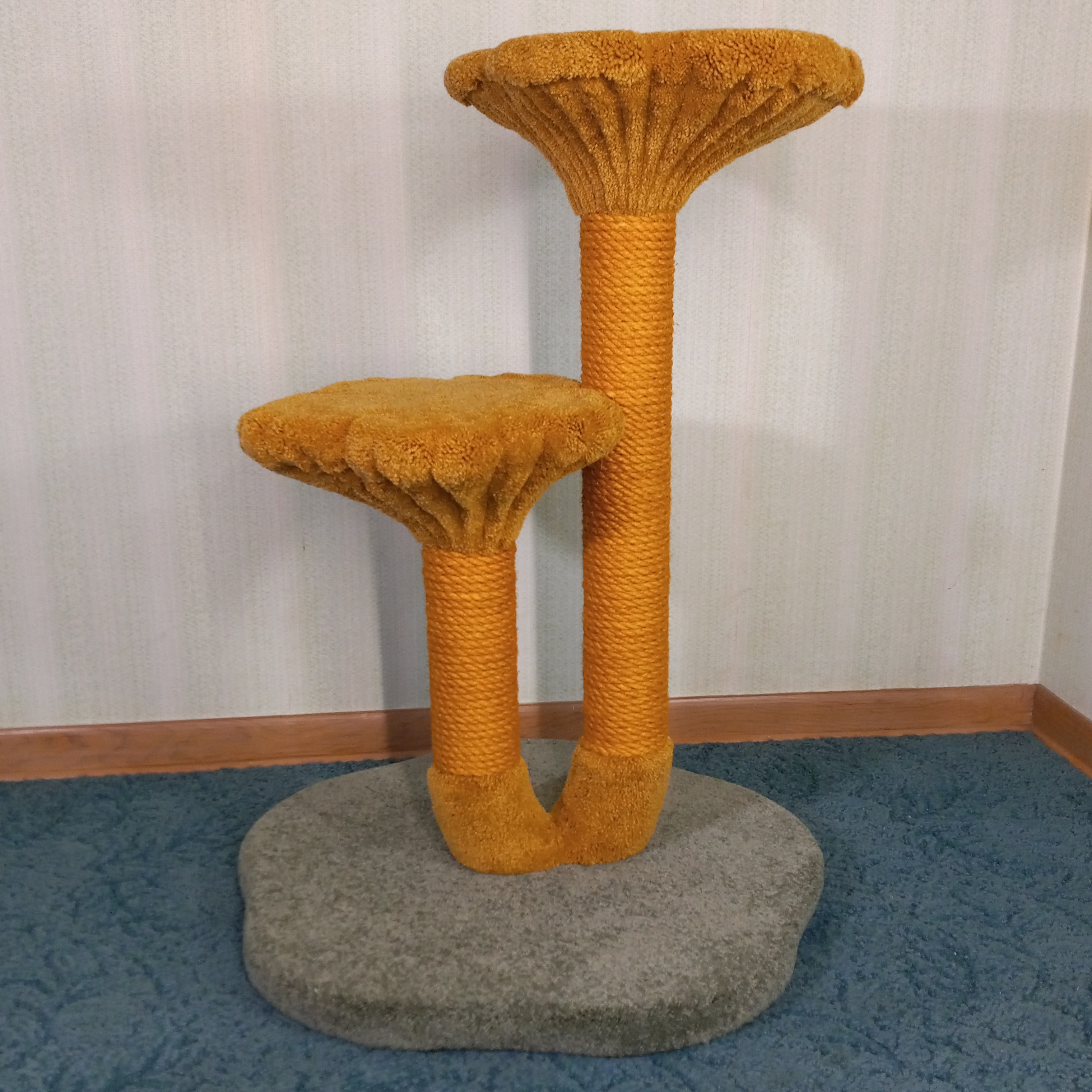 Chanterelle Mushroom Scratcher