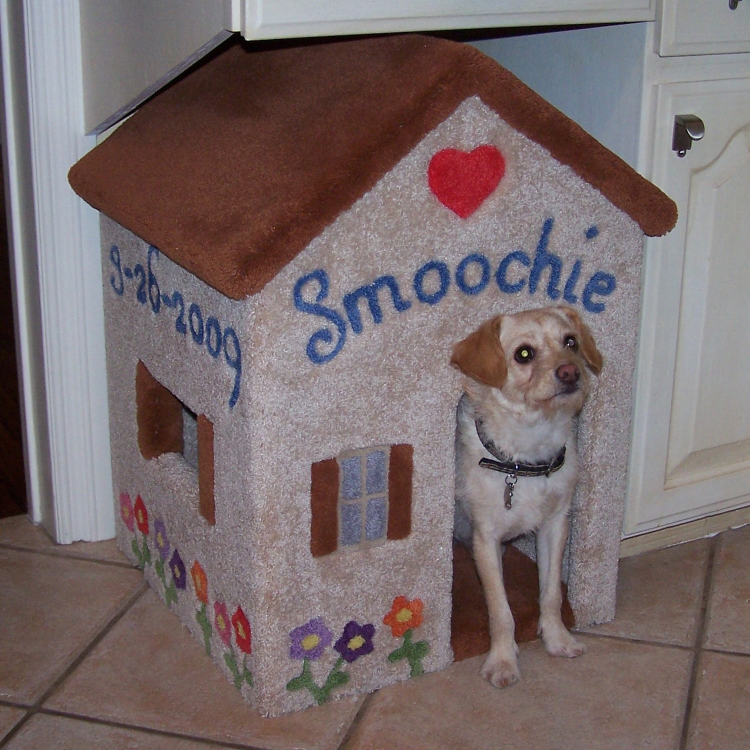Custom Design Service (Dog Furniture)