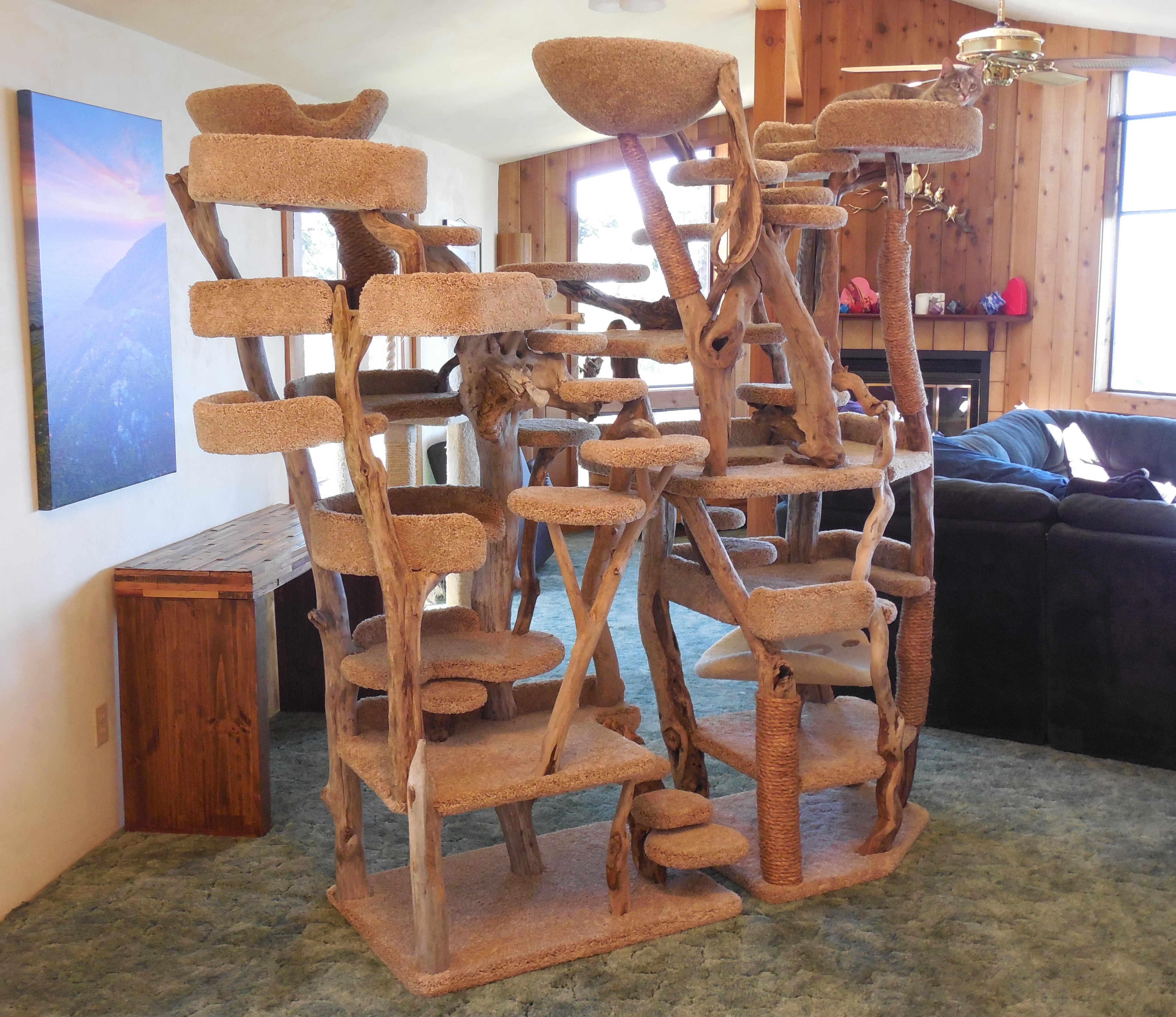 Custom Driftwood Cat Tree