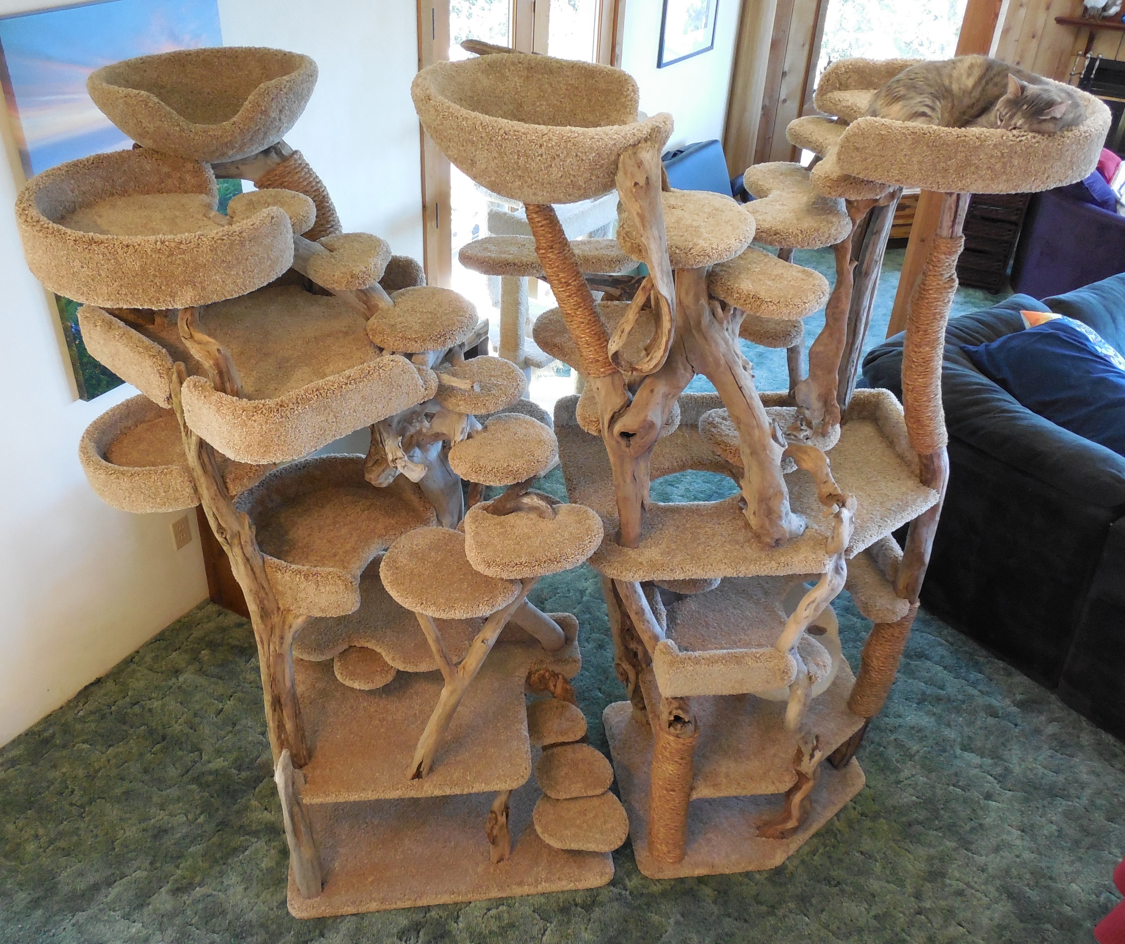 Custom Driftwood Cat Tree