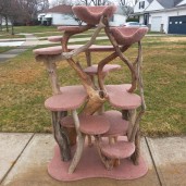 72" driftwood tree w/ 2 kitty bowls & toffee carpet