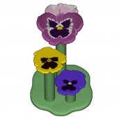 Pansy Perch