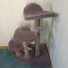 This unique variation of the Sweetheart Perch fits neatly into a room corner.  Includes gray dyed sisal for scratching & 3 matching hand-made fleece heart toys 