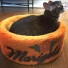 Meet "Marigold", a pampered kitty!  We created this custom design for her.  Monica has left a review, with the title "Amazing Cat Bed!" Click reviews to see her review!