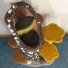 53" height, 16" diameter stump with carpet folds, draping moss, English ivy/jasmine, sparse moss/3 stones, 2 butterflies & 2 toys