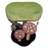 36" with local tree branch, forest green base, grass green bed, & bright red mushroom caps w/ white spots & brown sisal.